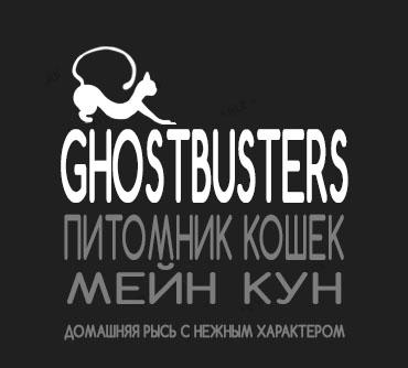 Питомник кошек мейн кун Ghostbusters